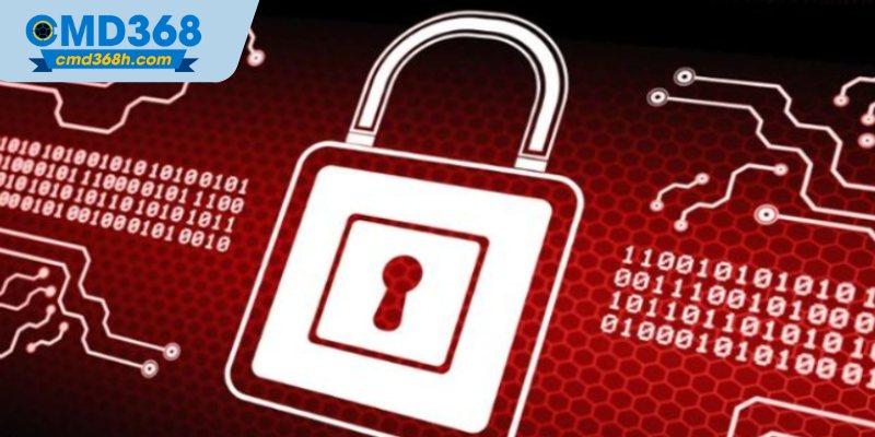 Tầm quan trọng của chính sách bảo mật