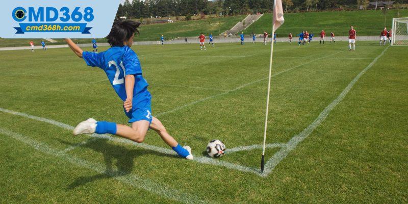 Thủ thuật soi kèo chính xác