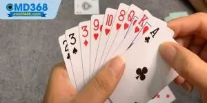 Cách Nhớ 52 Lá Bài Tiến Lên CMD368